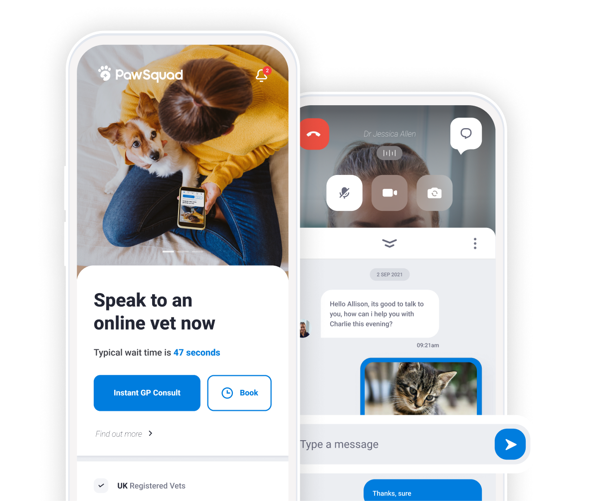 PawSquad Online Vet Consultations, Nutrition, Behaviour & Training Advice and more...