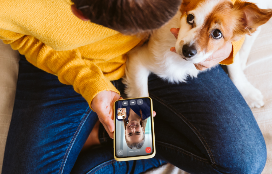 5 ways to use PawSquad | PawSquad