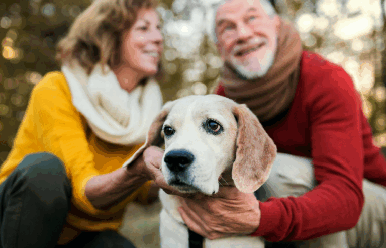 Caring for older pets | PawSquad