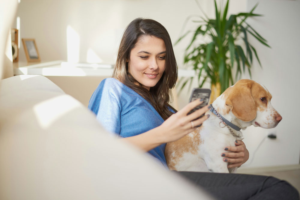 Worried About Destructive Behaviour? You’re Not Alone | PawSquad