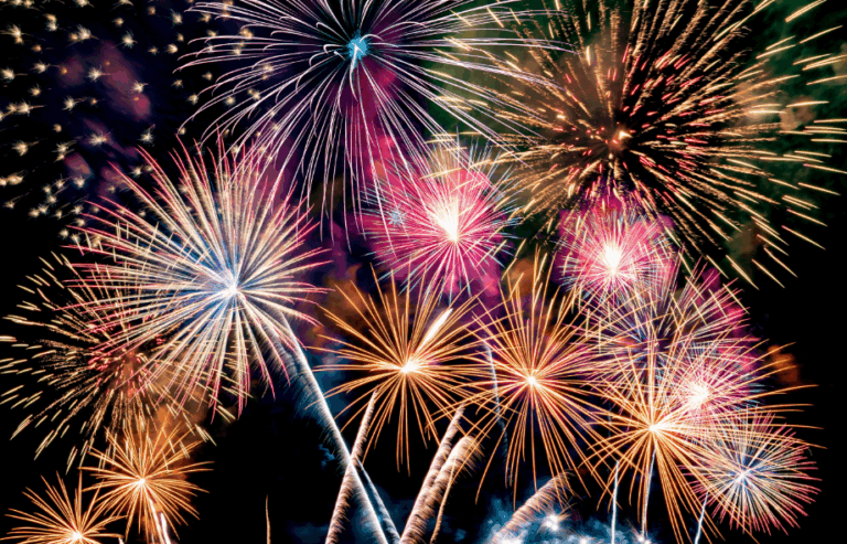 Bonfire night pet safety