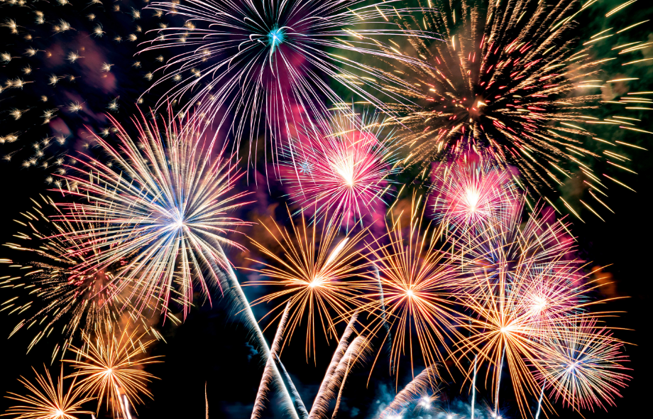 Bonfire night pet safety