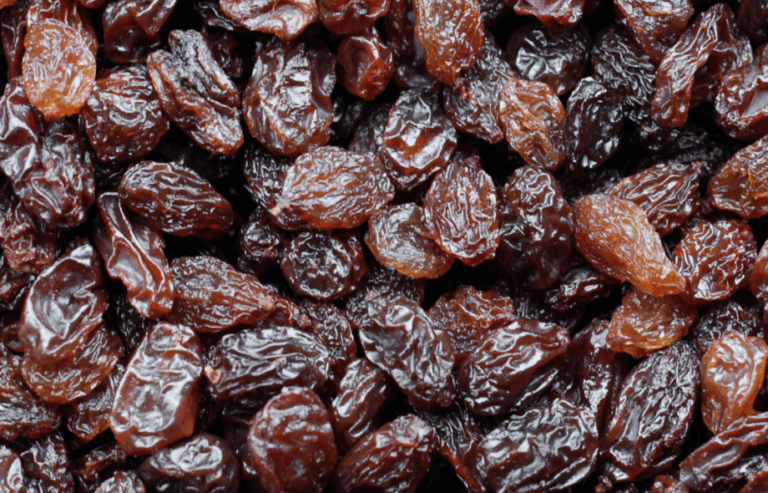 Raisin toxicity