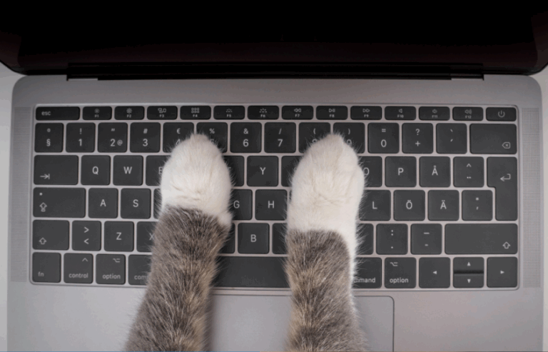 welcome-to-the-pawsquad-blog