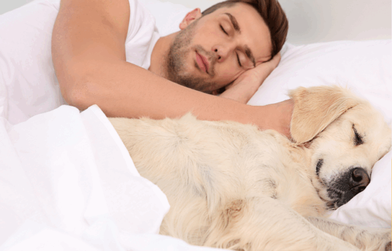 nighttime pet panics