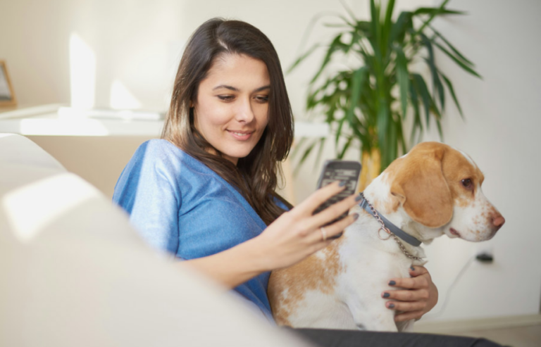 Message-based online vet access services | PawSquad