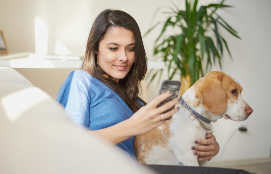 Message-based online vet access services | PawSquad