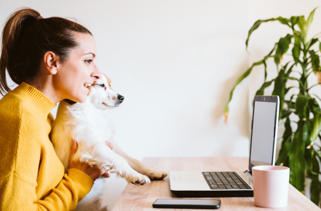 Spring toxins in pets | PawSquad