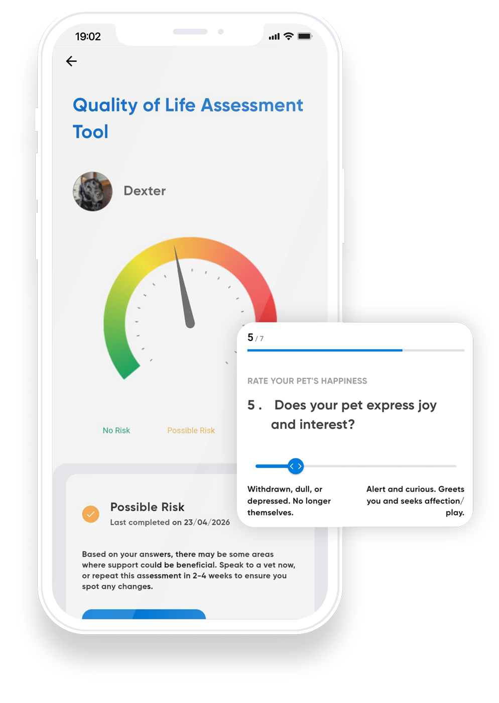 Pet quality of life assessment tool showing wellbeing results on mobile app